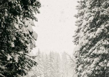 Winterwandern mit der Familie in Oberlech