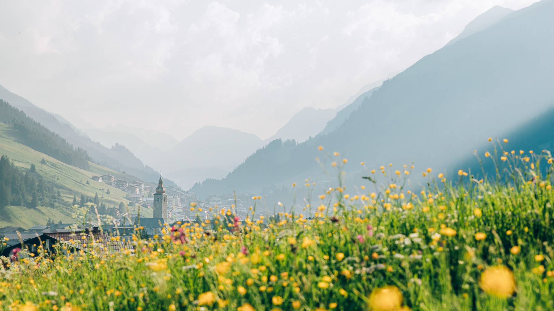 Bergwiese in Lech Zuers