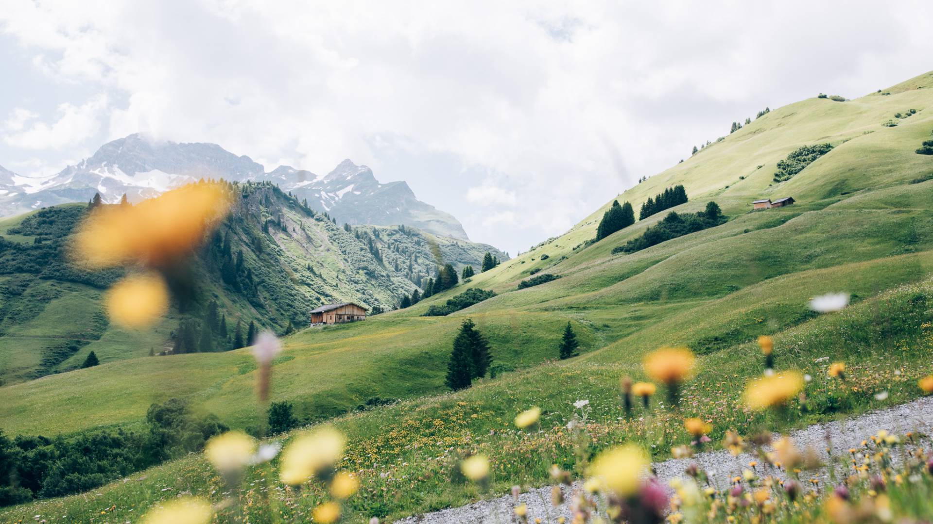 Berghütte mit Wiese in Sommer